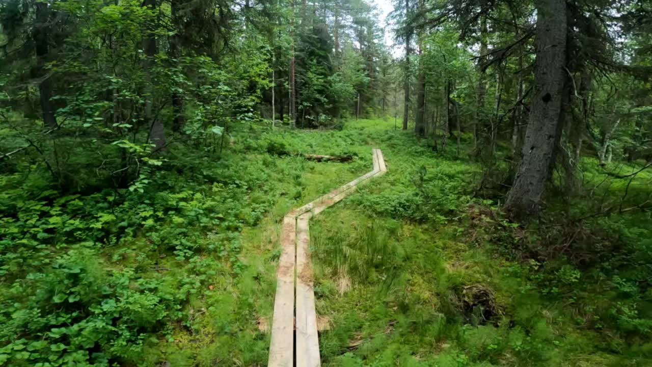 Isovaara Vit led, 10 km