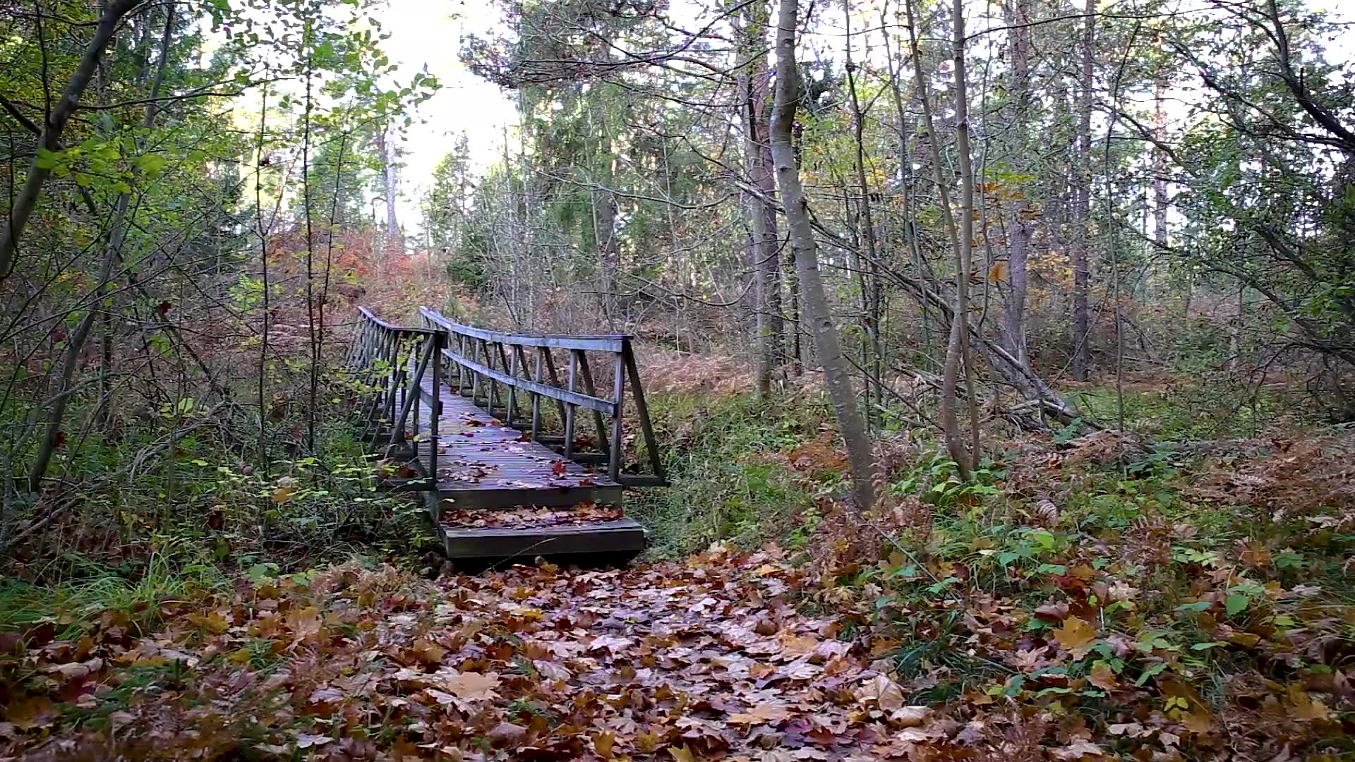 Ireåslingan